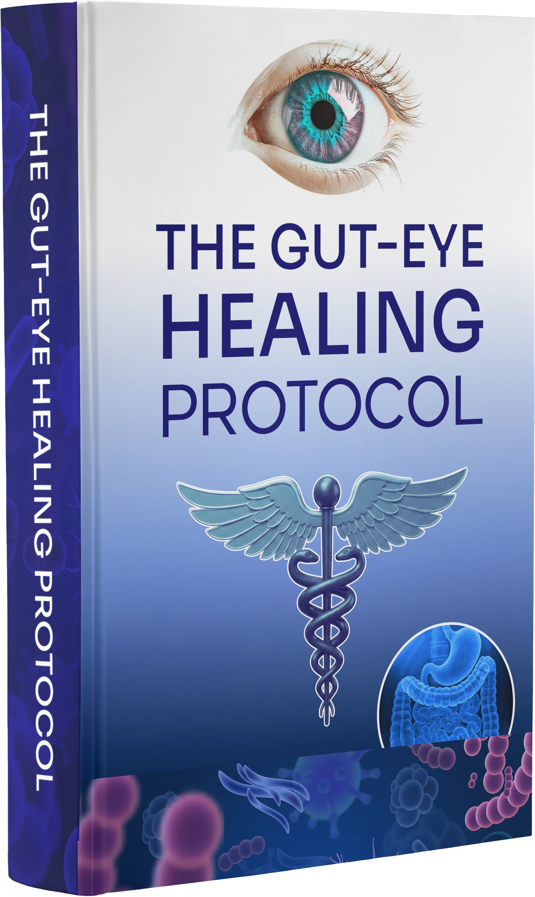 The Gut-Eye Healing Protocol